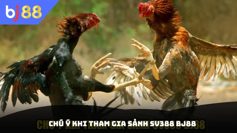 Chú ý khi tham gia sảnh SV388 BJ88