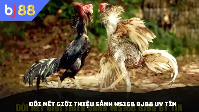 Đôi nét giới thiệu sảnh WS168 BJ88 uy tín