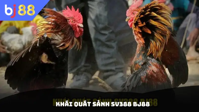 Khái quát sảnh SV388 BJ88
