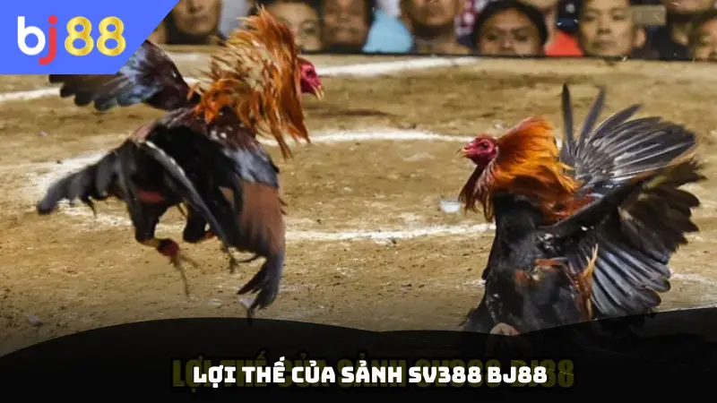 Lợi thế của sảnh SV388 BJ88