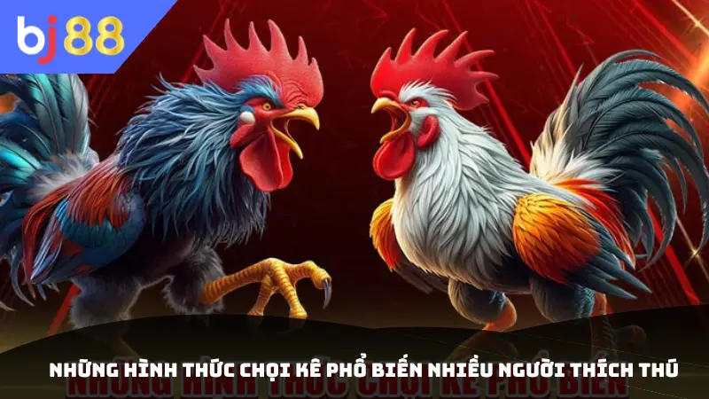 Những hình thức chọi kê phổ biến nhiều người thích thú