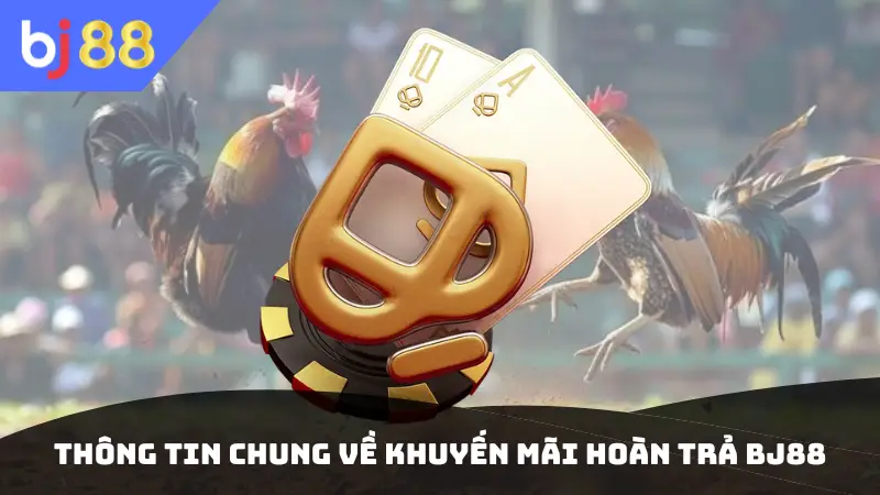Thông tin chung về khuyến mãi hoàn trả BJ88