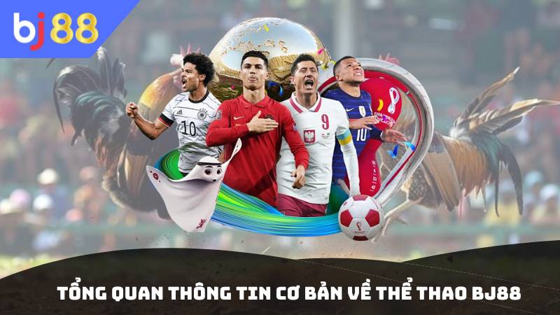 Tổng quan thông tin cơ bản về thể thao BJ88 hot nhất hiện nay