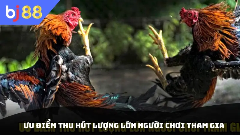 Ưu điểm thu hút lượng lớn người chơi tham gia